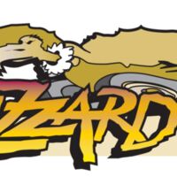 Buzzard Racing Logo Thumbnail