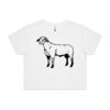 AS Colour / Wo's CROP TEE Thumbnail