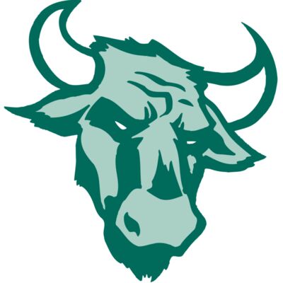 AR BULL 37 RC Thumbnail