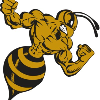 BAW BEE 01 RC Thumbnail