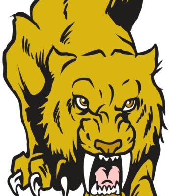 AR30 SABER 08 RQC Thumbnail