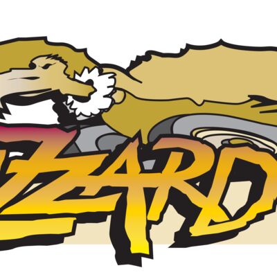 Buzzard Racing Logo Thumbnail